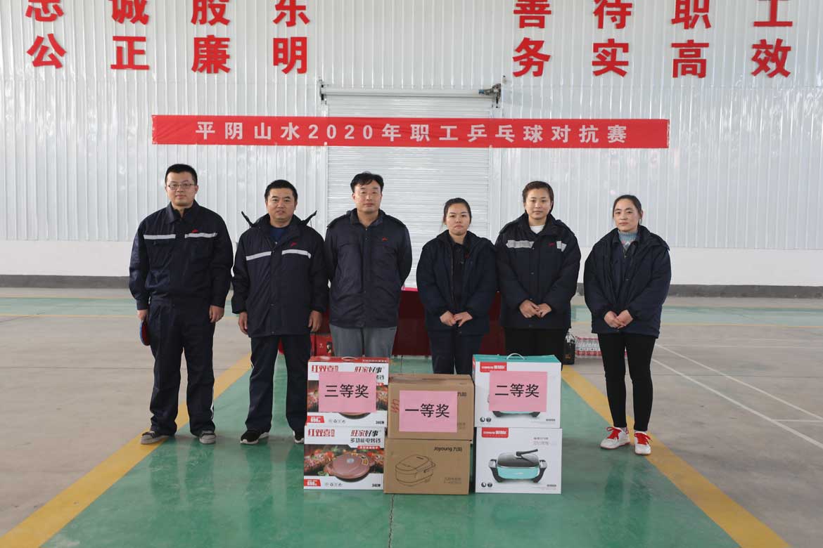 平陰公司乒乓球 平陰公司乒乓球