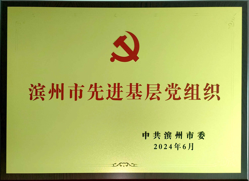 濱州公司榮獲濱州市先進基層黨組織稱號