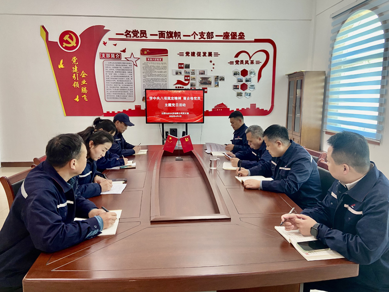 巨野公司黨支部開展“學(xué)中央八項(xiàng)規(guī)定精神 做合格黨員”主題黨日活動(dòng)照片